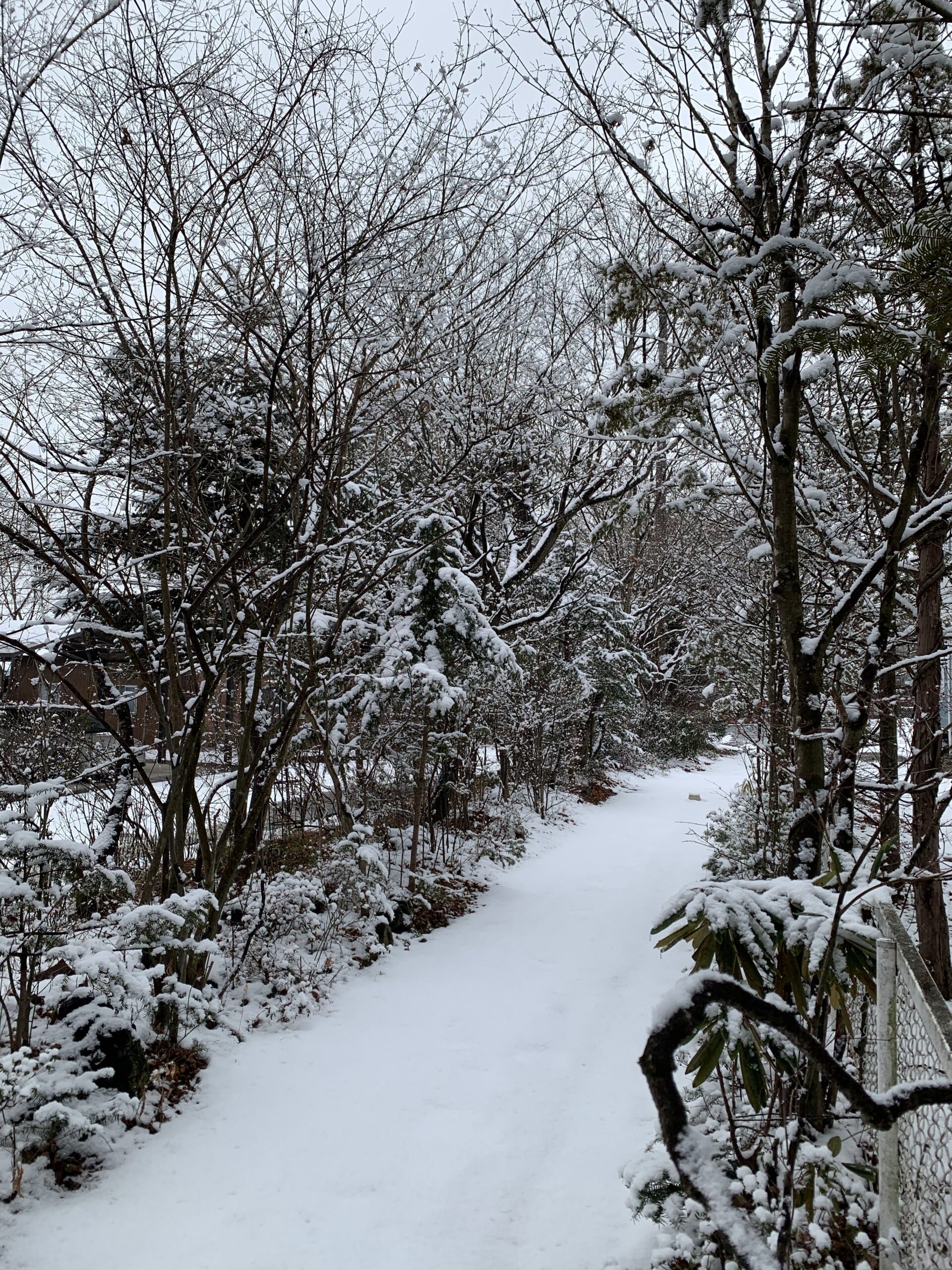 TalesbySaran snow Karuizawa Japan