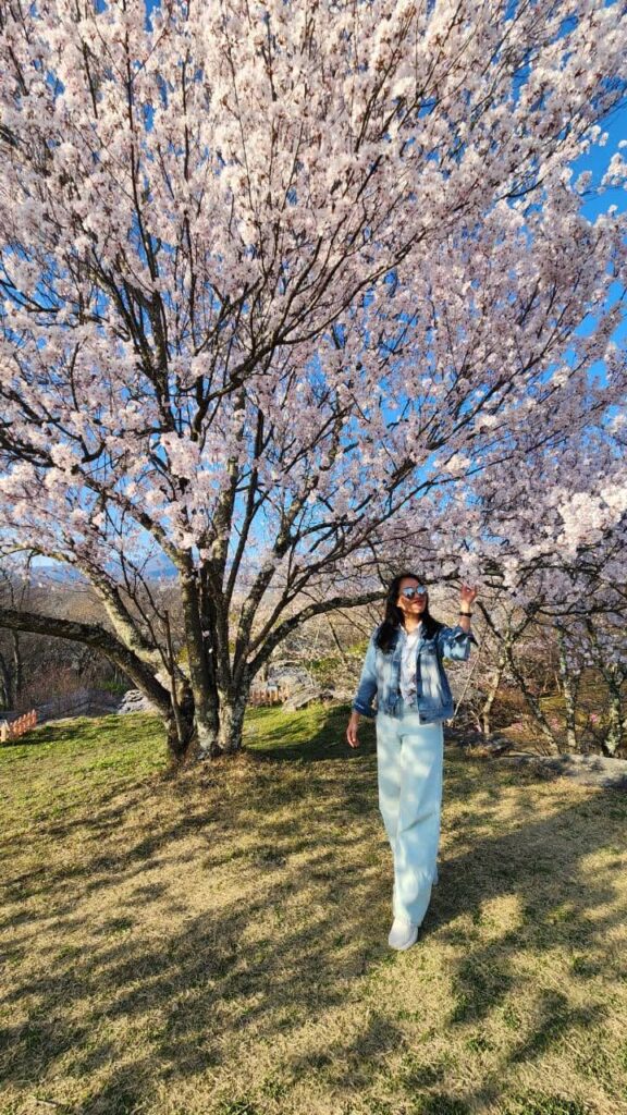 TalesBySaran Sakura at Komoro Castle